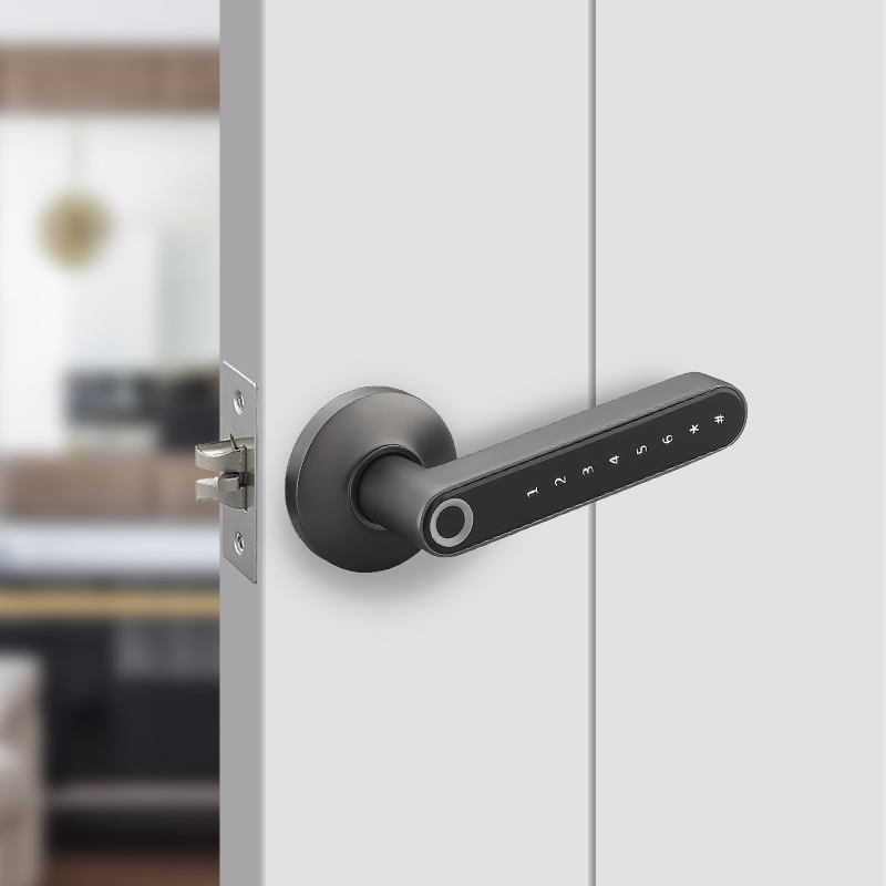 ZNBC008 Smart Handle Door Lock