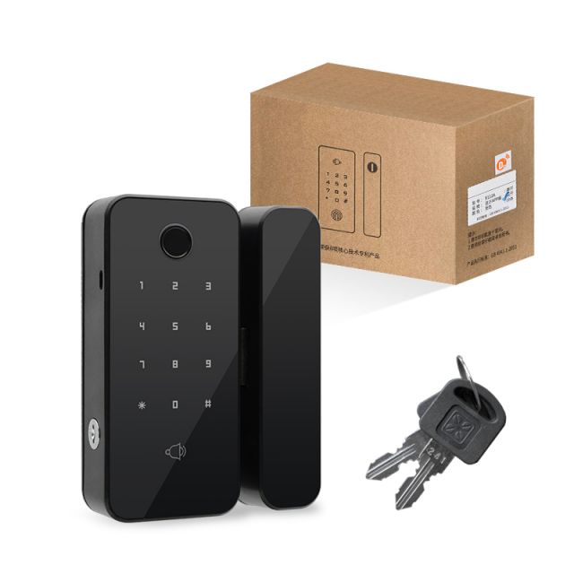 ZNB112 Smart Glass Door Lock